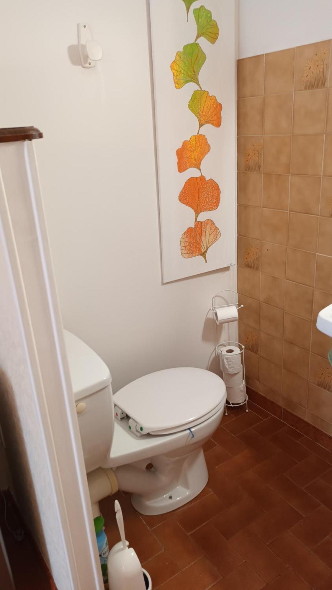 Gentil Coquelicot Daire Mirepoix  Dış mekan fotoğraf